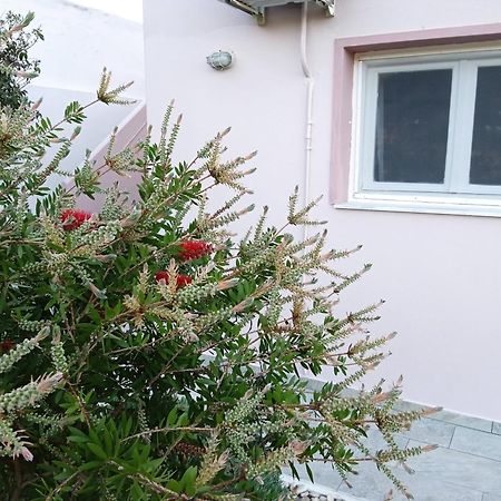 Andros Lighthouse Apartments Mesaria  Εξωτερικό φωτογραφία