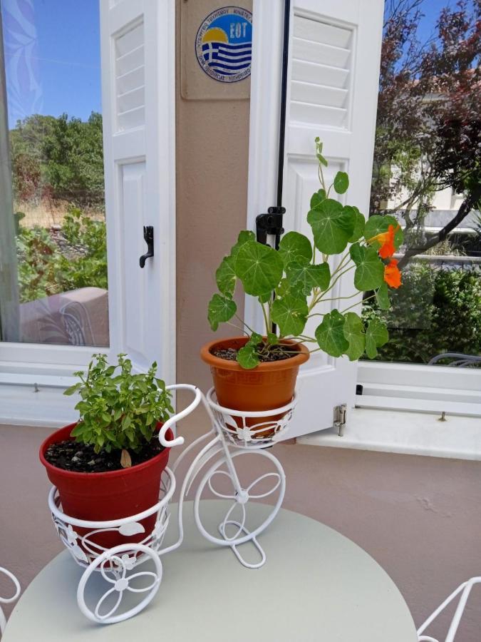 Andros Lighthouse Apartments Mesaria  Εξωτερικό φωτογραφία