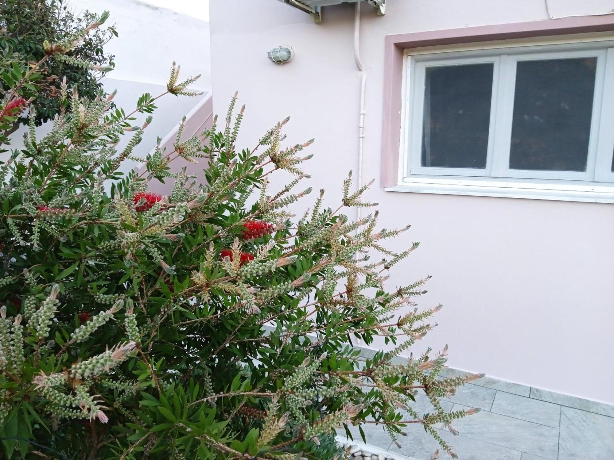 Andros Lighthouse Apartments Mesaria  Εξωτερικό φωτογραφία